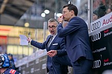 Eishockey, Herren, DEL, Saison 2024-2025, Spieltag 17, ERC Ingolstadt - Adler Mannheim, 17.11.2024