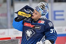 Eishockey, Herren, DEL, Saison 2024-2025, Spieltag 36, ERC Ingolstadt - Kölner Haie, 12.01.2025