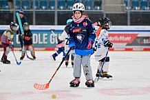 Eishockey, Saison 2025-2026, ERC Ingolstadt - Kids On Ice Day, 10.01.2026