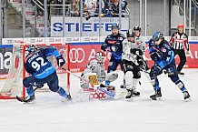 Eishockey, Herren, DEL, Saison 2024-2025, Spieltag 36, ERC Ingolstadt - Kölner Haie, 12.01.2025