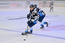 Eishockey, Herren, DEL, Saison 2024-2025, Vorbereitung, ERC Ingolstadt - Dresdner Eislöwen, 18.08.2024