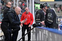 Eishockey, Herren, DEL, Saison 2024-2025, Spieltag 42, ERC Ingolstadt - Kölner Haie, 31.01.2025