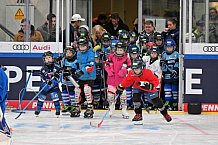 Eishockey, Herren, DEL, Saison 2023-2024, ERC Ingolstadt - Kids on Ice Day, 18.11.2023