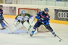 Eishockey, Herren, DEL, Saison 2024-2025, EHC Olten - ERC Ingolstadt, 25.08.2024