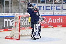 Eishockey, Herren, DEL, Saison 2024-2025, Spieltag 22, ERC Ingolstadt - Düsseldorfer EG, 01.12.2024