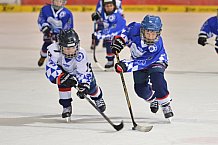 ERC Ingolstadt vs Straubing Tigers, Eishockey, DEL, Deutsche Eishockey Liga, 22.12.2015