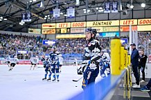 Eishockey, Herren, DEL, Saison 2024-2025, Playoffs Viertelfinale, Spiel 1, ERC Ingolstadt - Nürnberg Ice Tigers, 16.03.2025