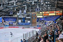 Eishockey, Herren, DEL, Saison 2023-2024, Spieltag 39, ERC Ingolstadt - Iserlohn Roosters, 19.01.2024