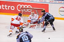 ERC Ingolstadt - Duesseldorfer EG, Eishockey, DEL, Deutsche Eishockey Liga, Spieltag 50, 21.02.2017