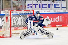 Eishockey, Herren, DEL, Saison 2024-2025, Spieltag 49, ERC Ingolstadt - Straubing Tigers, 28.02.2025