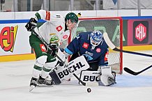 Eishockey, Mens, CHL, Season 2023-2024, ERC Ingolstadt - Färjestad Karlstad, 02.09.2023