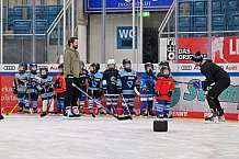 Eishockey, Herren, DEL, Saison 2022-2023, ERC Ingolstadt - Kids On Ice Day, 14.01.2023