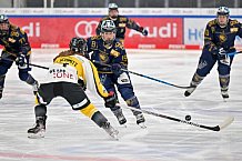 Eishockey, Frauen, DFEL, Saison 2022-2023, ERC Ingolstadt - Mad Dogs Mannheim, 19.11.2022