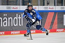 Eishockey, Frauen, DFEL, Saison 2023-2024, ERC Ingolstadt - Mad Dogs Mannheim, 18.02.2024