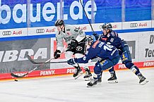 Eishockey, Herren, DEL, Saison 2024-2025, Playoffs Halbfinale, Spiel 3, ERC Ingolstadt - Kölner Haie, 06.04.2025