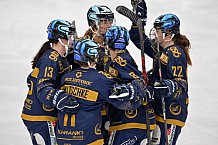 Eishockey, Frauen, DFEL, Saison 2022-2023, ERC Ingolstadt - Mad Dogs Mannheim, 20.11.2022