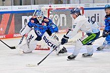 Eishockey, Herren, DEL, Saison 2025-2026, Spiel 7, ERC Ingolstadt - Straubing Tigers, 03.10.2025