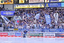 Eishockey, Herren, DEL, Saison 2024-2025, Playoffs Viertelfinale, Spiel 3, ERC Ingolstadt - Nürnberg Ice Tigers, 21.03.2025