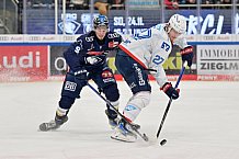 Eishockey, Herren, DEL, Saison 2024-2025, Spieltag 17, ERC Ingolstadt - Adler Mannheim, 17.11.2024