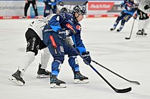 Eishockey, Herren, DEL, Saison 2024-2025, Spieltag 36, ERC Ingolstadt - Kölner Haie, 12.01.2025