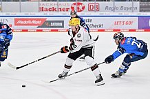 Eishockey, Herren, DEL, Saison 2023-2024, Spieltag 13, ERC Ingolstadt - Löwen Frankfurt, 22.10.2023