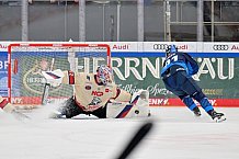Eishockey, Herren, DEL, Saison 2024-2025, Vorbereitung, ERC Ingolstadt - Nürnberg Ice Tigers, 15.09.2024