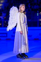 Eishockey, Herren, DEL, Saison 2025-2026, Spiel 28, ERC Ingolstadt - Iserlohn Roosters, 14.12.2025