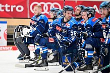 Eishockey, Herren, DEL, Saison 2025-2026, Spiel 40, ERC Ingolstadt - Straubing Tigers, 16.01.2026