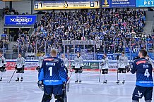 Eishockey, Herren, DEL, Saison 2024-2025, Spieltag 42, ERC Ingolstadt - Kölner Haie, 31.01.2025