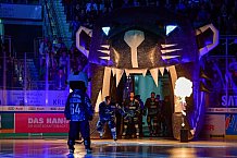 ERC Ingolstadt vs Straubing Tigers, DEL, Deutsche Eishockey Liga, Spieltag 13, 20.10.2019