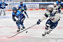 Eishockey, Frauen, DFEL, Saison 2025-2026, ERC Ingolstadt - Eisbären Berlin, 18.01.2026