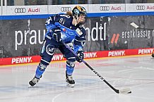 Eishockey, Frauen, DFEL, Saison 2023-2024, ERC Ingolstadt - Amsterdam Tigers, 06.01.2024