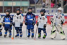 Eishockey, Herren, DEL, Saison 2024-2025, Spieltag 14, ERC Ingolstadt - Löwen Frankfurt, 31.10.2024