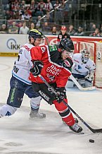 Koelner Haie - ERC Ingolstadt, Eishockey, Herren, Maenner, DEL, Spieltag 13, 23.10.2015