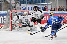 Eishockey, Frauen, DFEL, Saison 2023-2024, ERC Ingolstadt - Amsterdam Tigers, 06.01.2024