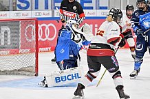 Eishockey, Frauen, DFEL, Saison 2023-2024, ERC Ingolstadt - EC Bergkamener Bären, 28.10.2023