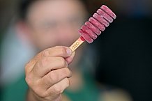 Eishockey, Herren, DEL, Saison 2024-2025, Vorbereitung, ERC Ingolstadt - Dresdner Eislöwen, 18.08.2024