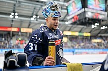 Eishockey, Herren, DEL, Saison 2024-2025, Spieltag 49, ERC Ingolstadt - Straubing Tigers, 28.02.2025