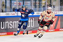 Eishockey, Herren, DEL, Saison 2024-2025, Playoffs Viertelfinale, Spiel 1, ERC Ingolstadt - Nürnberg Ice Tigers, 16.03.2025