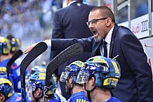 ERC Ingolstadt - Straubing Tigers, Eishockey, DEL, Deutsche Eishockey Liga, Spieltag 1, 08.09.2017