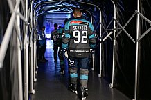 Eishockey, Herren, DEL, Saison 2026-2027, Spieltag 6, ERC Ingolstadt - Kölner Haie, 04.10.2026