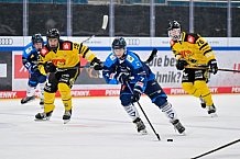 Eishockey, Herren, U20 DNL, Saison 2025-2026, ERC Ingolstadt - Krefeld Pinguine, 10.01.2026