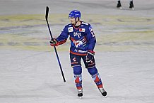 Eishockey, Herren, DEL, Saison 2020-2021, Adler Mannheim - ERC Ingolstadt, 24.01.2021