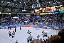 Eishockey, Herren, DEL, Saison 2024-2025, Playoffs Halbfinale, Spiel 1, ERC Ingolstadt - Kölner Haie, 02.04.2025