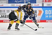 Eishockey, Frauen, DFEL, Saison 2022-2023, ERC Ingolstadt - Mad Dogs Mannheim, 19.11.2022
