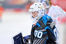Eishockey, Herren, DEL, Saison 2025-2026, Spiel 33, ERC Ingolstadt - Grizzlys Wolfsburg, 28.12.2025