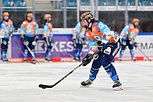 Eishockey, Frauen, DFEL, Saison 2024-2025, ERC Ingolstadt - ECDC Memmingen Indians, 16.11.2024