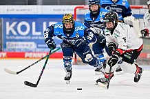 Eishockey, Frauen, DFEL, Saison 2025-2026, ERC Ingolstadt - HK Budapest, 15.11.2025