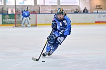 Eishockey, Frauen, DFEL, Saison 2023-2024, ERC Ingolstadt - ECDC Memmingen Indians, 21.01.2024