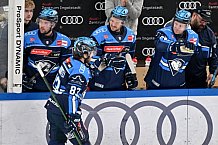Eishockey, Herren, DEL, Saison 2025-2026, Spiel 43, ERC Ingolstadt - Schwenninger Wild Wings, 25.01.2026